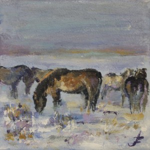 Konikhorses at Oostvaarderslake                     